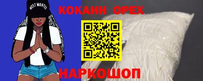 стаф Заводоуковск