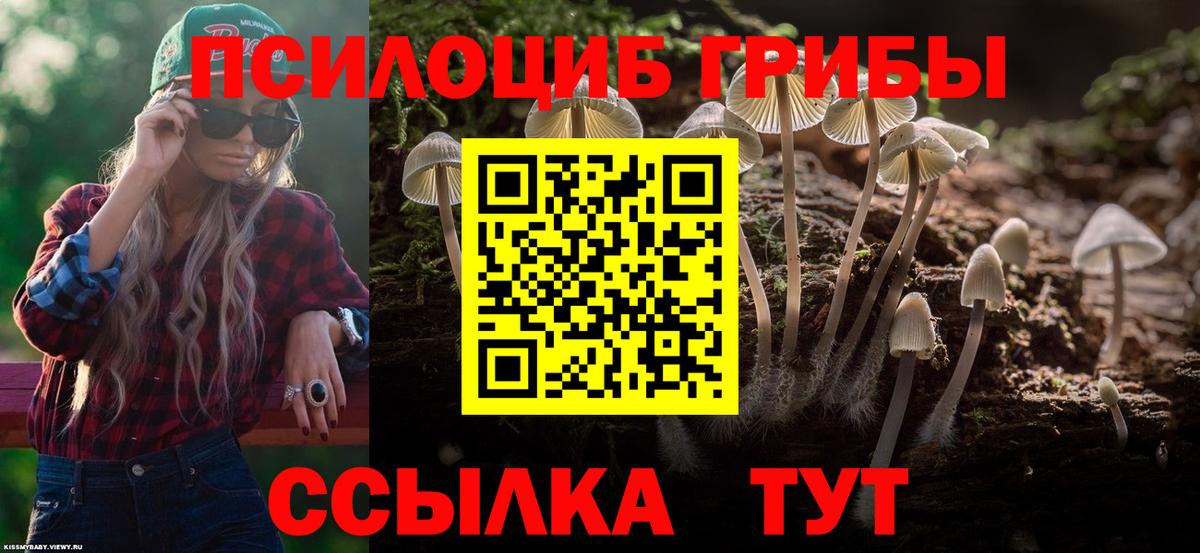 Галлюциногенные грибы MAGIC MUSHROOMS  Вход с VPN  Балашов 